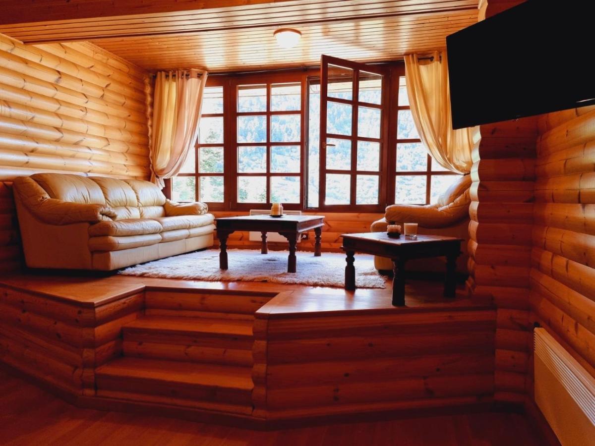 "Nest" The Wooden Suite By Ski Alure Eptálofos Extérieur photo